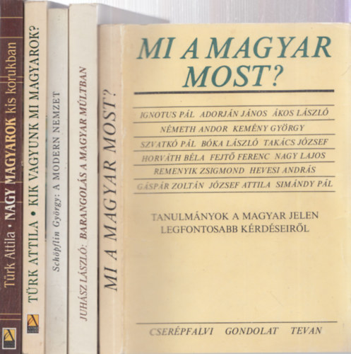 5 db knyv Magyarorszgrl: Mi a magyar most? + Barangols a magyar mltban + A modern nemzet + Kik vagyunk mi magyarok? + Nagy magyarok kis korukban