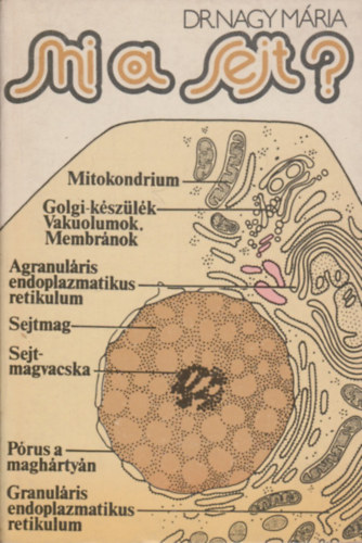 Dr. Nagy Mria - Mi a sejt?