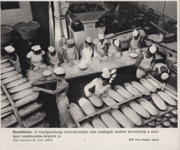 MTI eredeti fot: Szentlrinc - stipari szakmunks (17x24 cm)