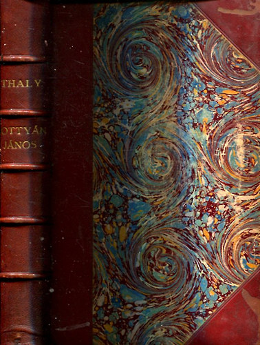 Thaly K�lm�n - Botty�n J�nos. II. R�k�czi Ferencz fejedelem vez�nyl� t�bornoka. T�rt�neti �letrajz a kuruczvil�g hadj�rataival