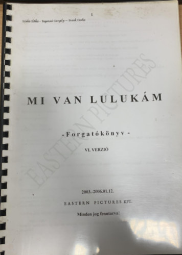 Fogarasi Gergely, Frank Dorka Szab Ildik - Mi van Lulukm? (Forgatknyv VI. verzi)