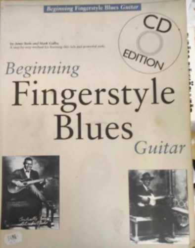 Arnie Berle - Beginning Fingerstyle Blues Guitar