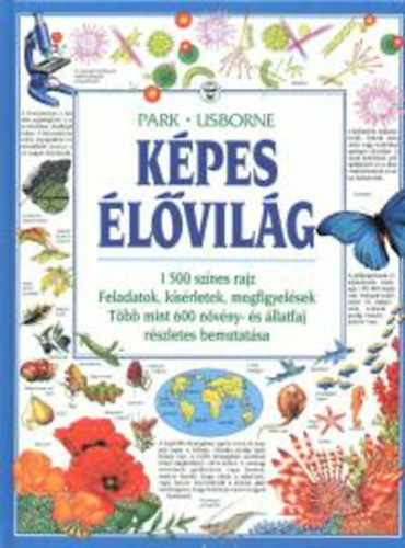 Kpes lvilg