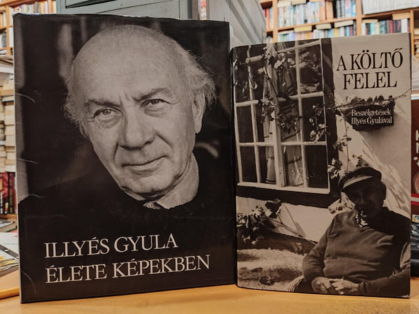 Illys Gyuln, Sznt Tibor, Fldes Anna Illys Gyula - 2 db A klt felel (Beszlgetsek Illys Gyulval) + Illys Gyula lete kpekben