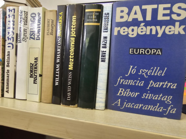 Hervé Bazin, Brantome, David Weiss, William Wharton, Gustave Flaubert, Borisz Paszternak, William Styron, Annemarie Selinko, Cronin Norman Bates - 8db világirodalmi kötet, KÖNYVMENTŐ AJÁNLAT: Bates regények+ Exfeleség+ Kacér hölgyek+ Meztelenül jöttem+ + Bovaryné+ Zsivago doktor+ Sophie választ+ Désirée+