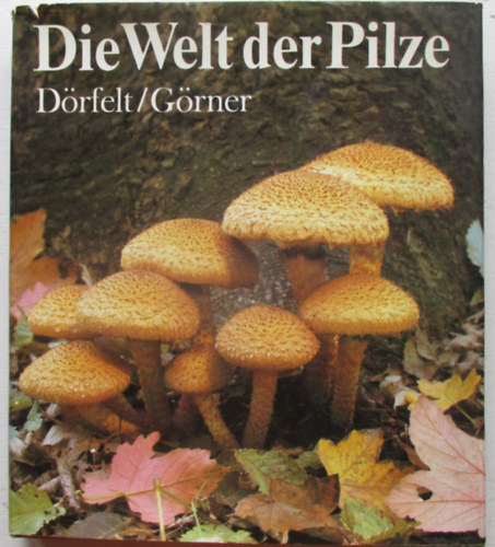 D�rfelt-G�rner - Die welt der Pilze