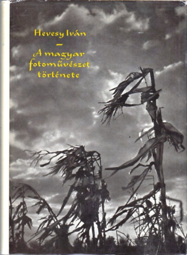 Hevesy Ivn - A magyar fotmvszet trtnete