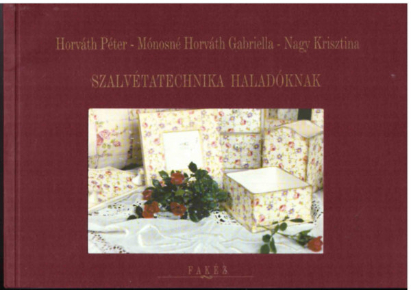 Horv�th P�ter; M�nosn� Horv�th Gabriella; Nagy Krisztina - Szalv�tatechnika halad�knak