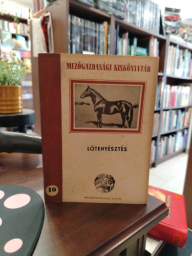 Dr. H�mori Dezs� - L�teny�szt�s