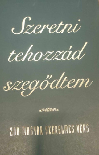 Szeretni tehozzád szegődtem