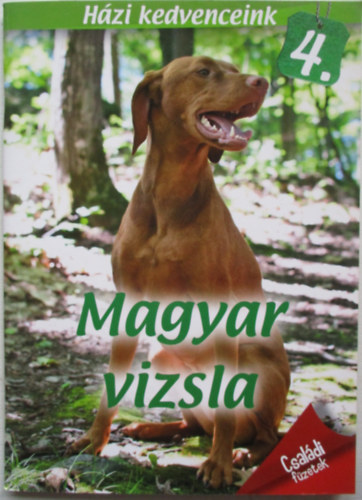 Magyar vizsla - Hzi kedvenceink 4.