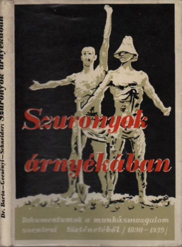 Dr. Gecsényi L., Schneider M. Barta L. (szerk.) - Szuronyok árnyékában
