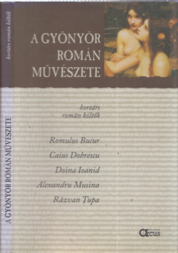 Romulus Bucur, Caius Dobrescu, Doina Ioanid, Alexandru Musina, Razvan Tupa - A gynyr romn mvszete (kortrs romn kltk)