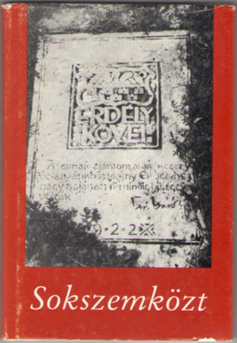 Dvid Gyula-Veress Zoltn - Sokszemkzt-Emigrns s otthon l erdlyi magyarok dialgusa