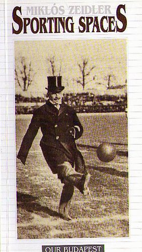 Miklós Zeidler - Sporting Spaces