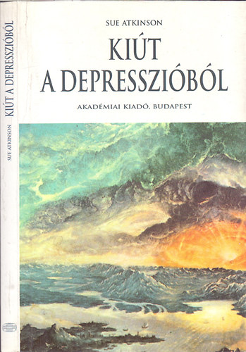 Sue Atkinson - Kit a depresszibl