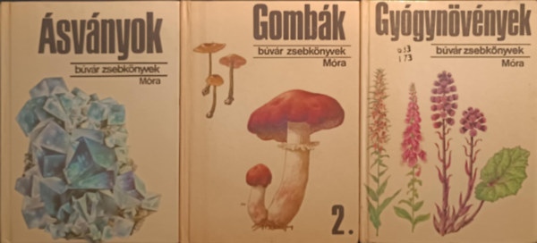 Bvr zsebknyv csomag