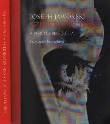 Joseph Jaworski - Szinkronicits (A vezets bels tja)