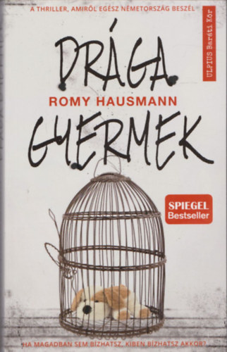 Romy Hausmann - Drga gyermek