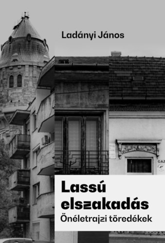 Ladányi János - Lassú elszakadás