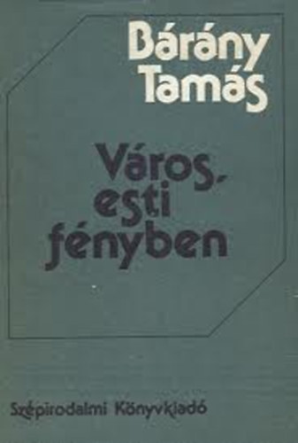 B�r�ny Tam�s - V�ros, esti f�nyben