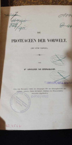 Die proteaceen der vorwelt (az kori vilg protezja)