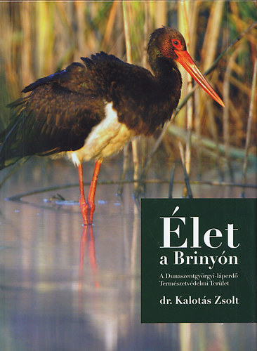 Kalot�s Zsolt - �let a Briny�n (A Dunaszentgy�rgyi-l�perd� Term�szetv�delmi Ter�let