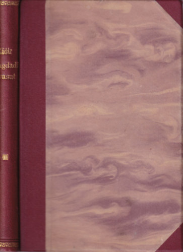 Kádár Lehel - A bagdadi vasut