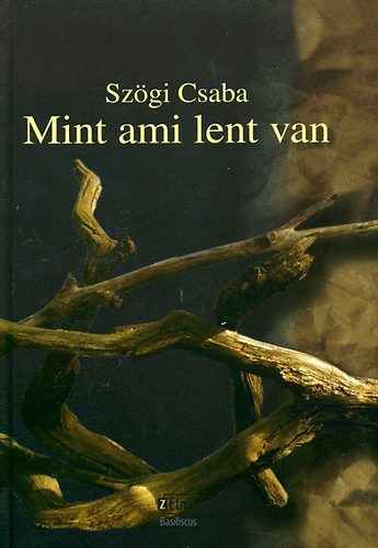 Sz�gi Csaba - Mint ami lent van - Az �lmod� ember kering�je
