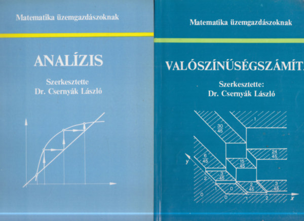 Dr. Csernyák László (szerk.) - 2 db. Matematika üzemgazdászoknak (Analízis + Valószínűségszámítás)