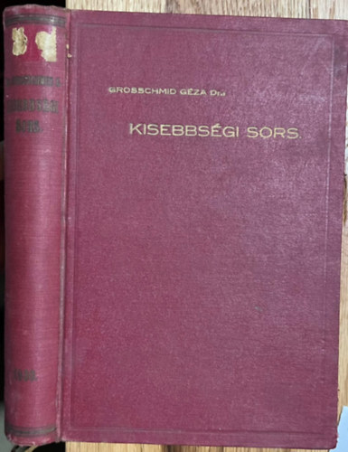 Dr. Grosschmid Gza - Kisebbsgi sors