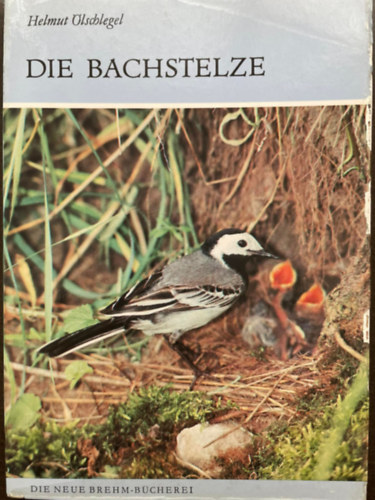 Helmut Ölschlegel - Die Bachstelze