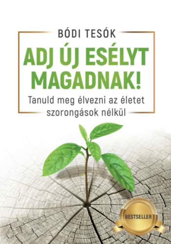Bódi Hunor, Bódi Megyer Bódi Bence - Adj új esélyt magadnak!
