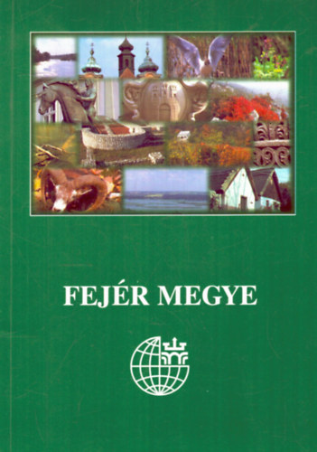 Fejr megye 1999-es