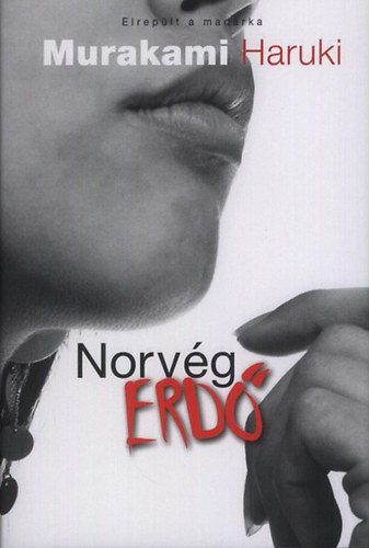 Murakami Haruki - Norvg erd