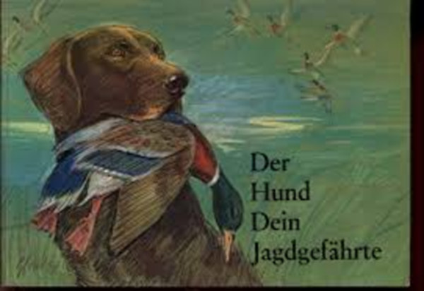 Der hund Dein Jagdgef�hrte