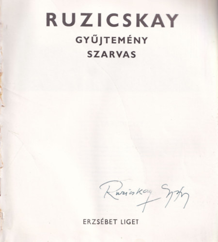 Ruzicskay gyjtemny - Szarvas Erzsbet - Liget