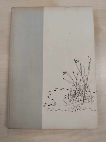 Brsony Istvn - Erdn, mezn