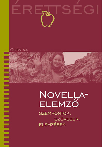 Vass Judit - Novellaelemz