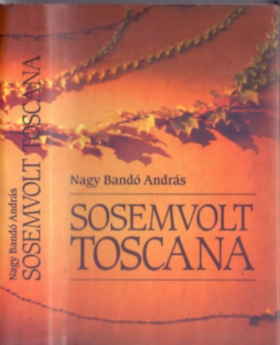 Nagy Band Andrs - Sosemvolt Toscana (Dediklt)