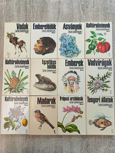 12 db B�v�r zsebk�nyv
