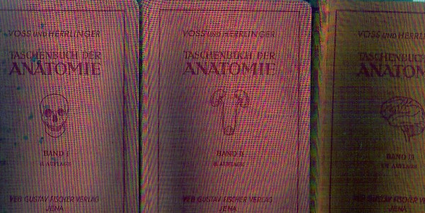 Voss-Herrlinger - Taschenbuch der Anatomie I-III.
