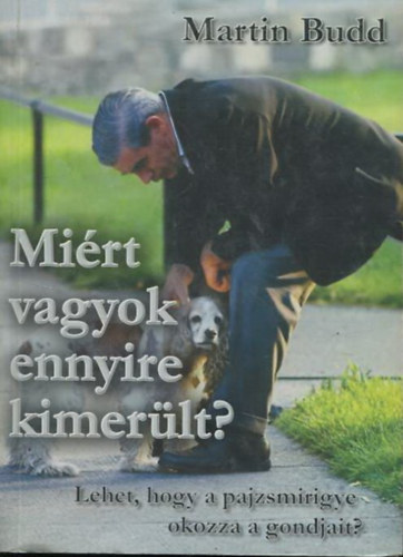 Martin Budd - Mi�rt vagyok ennyire kimer�lt?