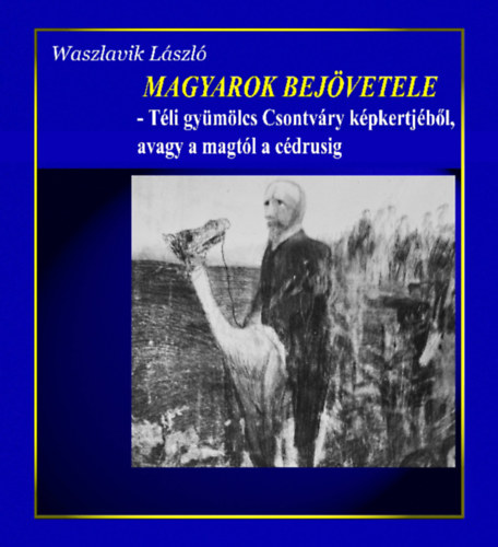Waszlavik Lszl - Magyarok bejvetele