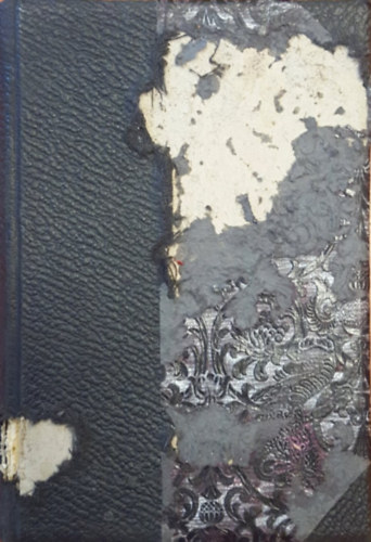 Jókai Mór - Bürgözdi bácsi csíntevései, A dagői torony, Bosszu a túlvilágon, Az ezerkettedik éjszaka, A szamárrend története, Eleven regény, Még sem lesz belőle tekintetes asszony, A rútak rútja, A kajmános hölgy, Lenczi fráter