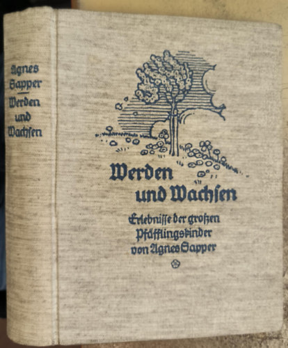 Agnes Sapper - Werden und Wachsen: Erlebnisse der grossen Pf�fflingskinder