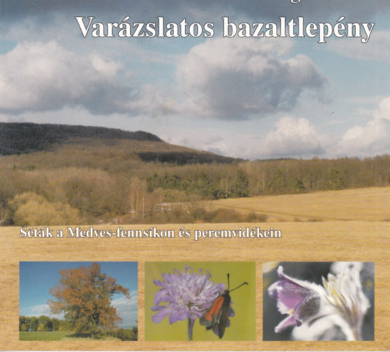 Andr�sfalvi-farag� Zolt�n - Var�zslatos bazaltlep�ny