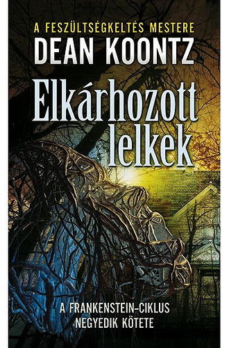 Dean R. Koontz - Elkrhozott lelkek