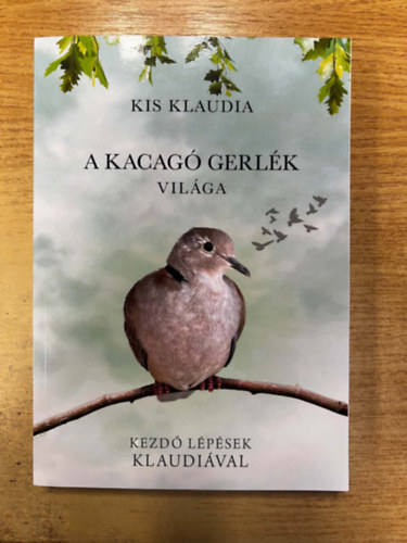 Kis Klaudia - A kacagó gerlék világa - Kezdő lépések Klaudiával