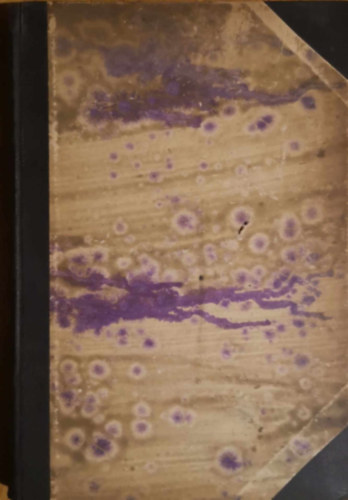 Taine - Francziaorsz�g klasszikus filoz�fusai a XIX. sz�zadban (Filoz�fiai �r�k t�ra)